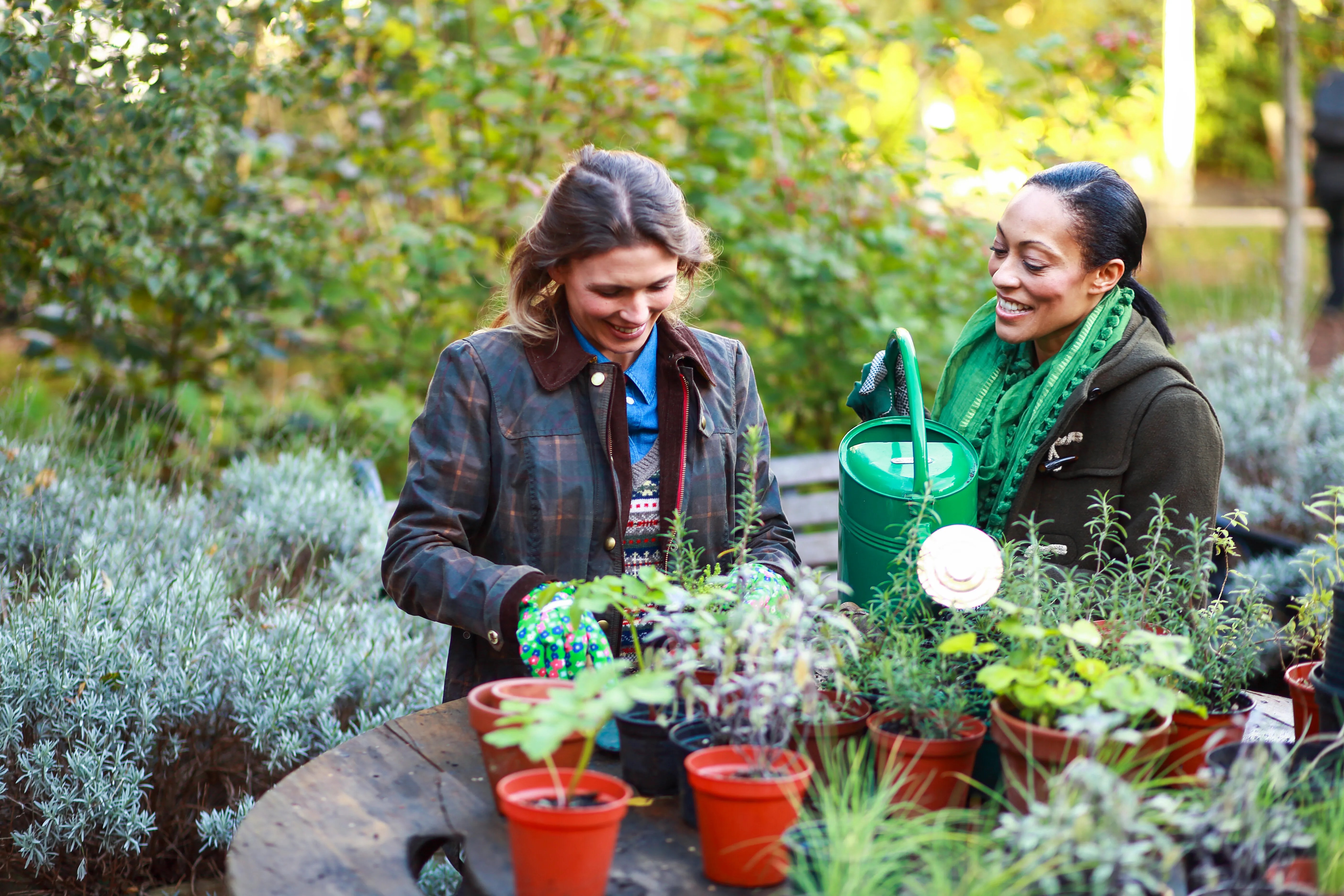 UK Gardeners Urged To Do These 5 Important Chores ASAP