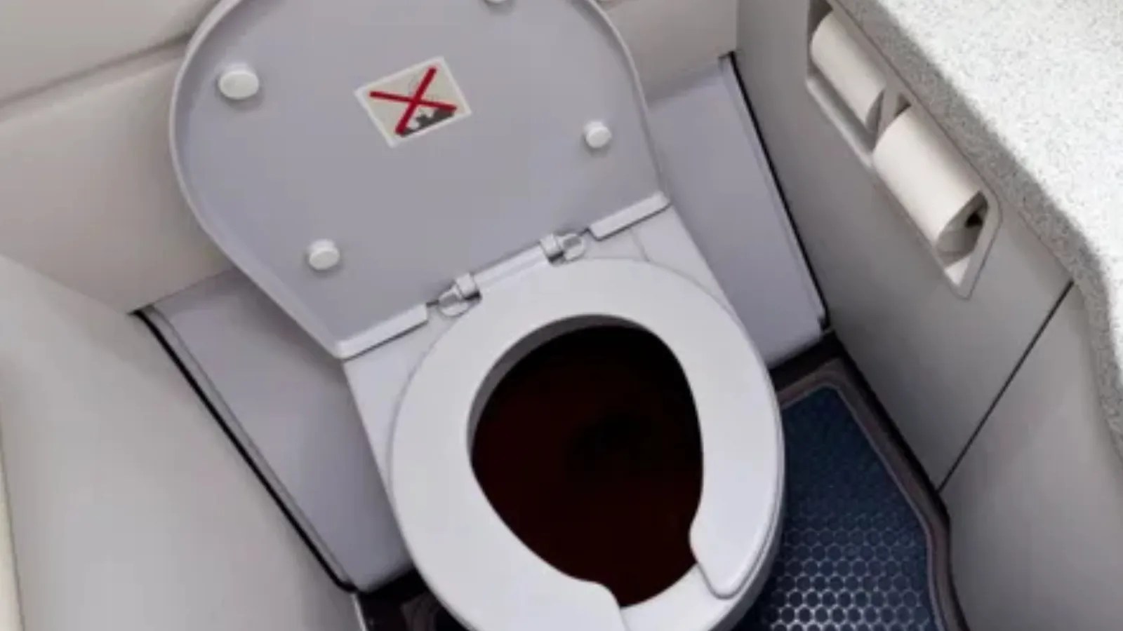 Flight Attendant Warns Against Touching Plane Toilet’s Flush