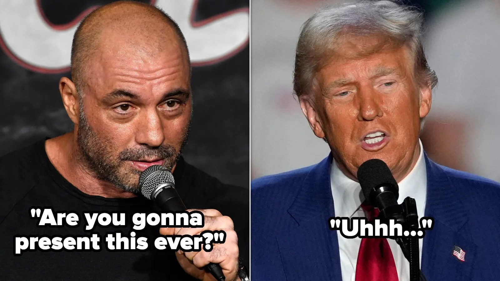 Joe Rogan Quizzes Trump On Election Fraud Claims