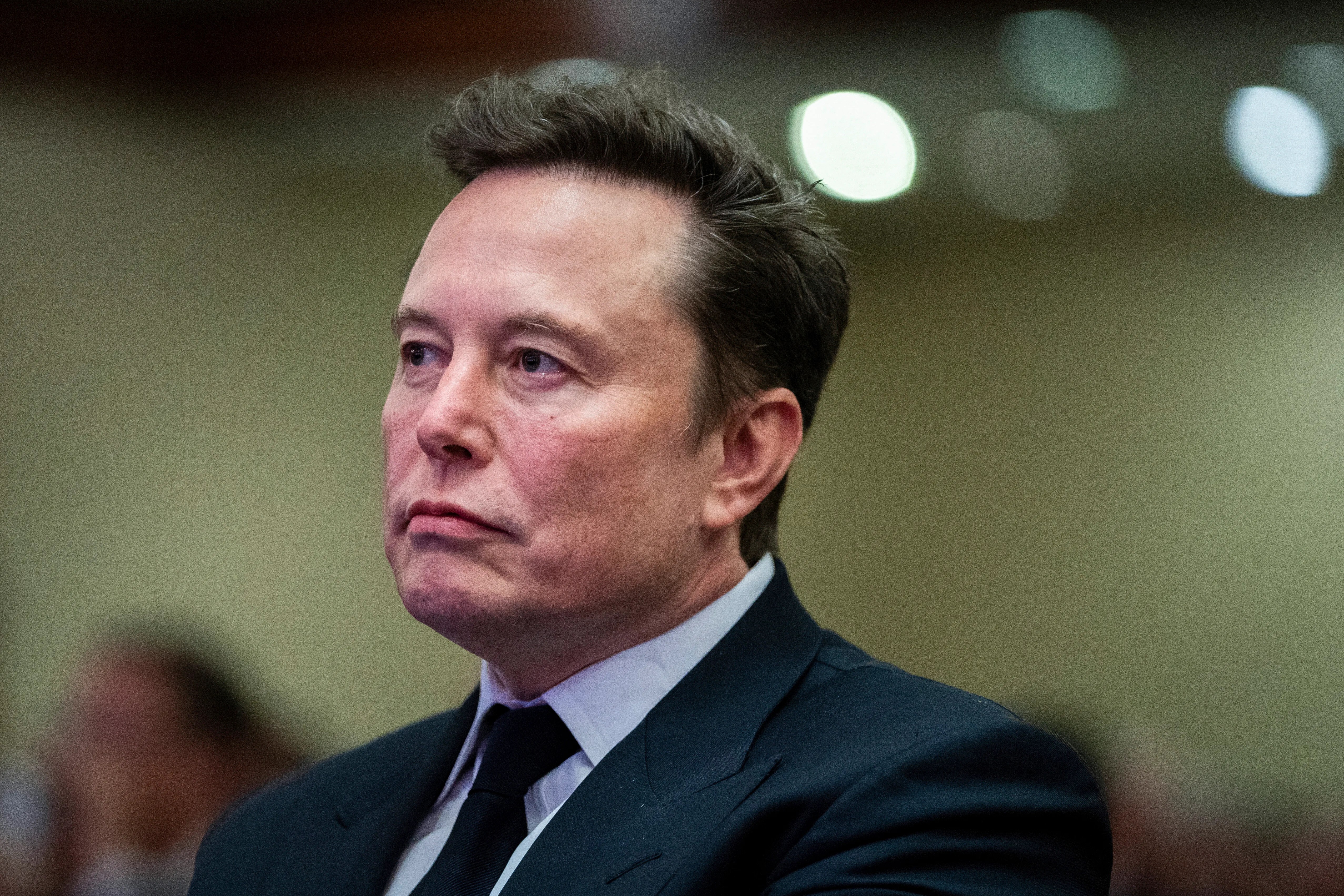 German Chancellor Takes Not-So-Subtle Jab At Elon Musk In New Year’s Address