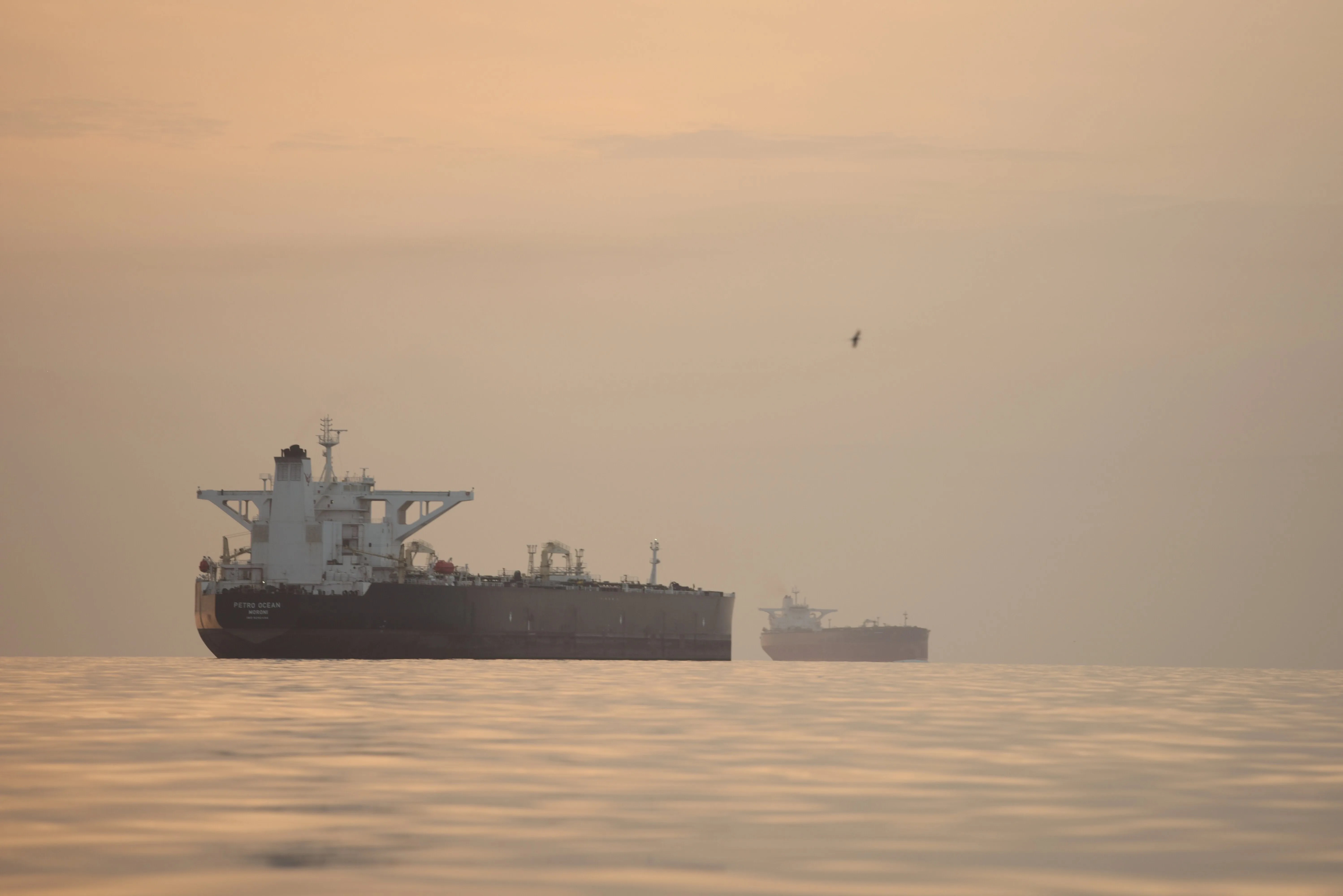 U.S. Warns Shipping Firms Over Paying Iran To Transit The Strait Of Hormuz