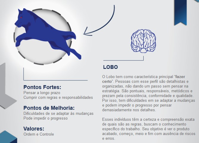 Teste de Perfil Comportamental e Cerebral do IBC Download