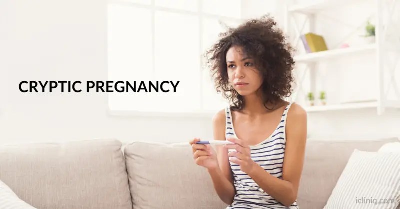 Cryptic Pregnancy
