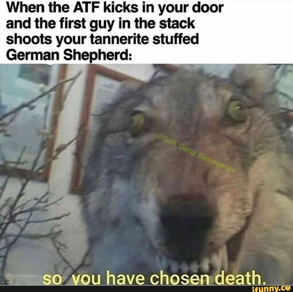 When the ATF kicks in your door and the first guy in the stack shoots