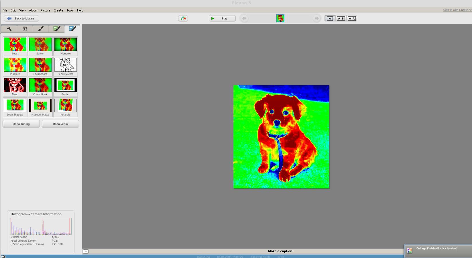 Picasa photo viewer 4k usxaser