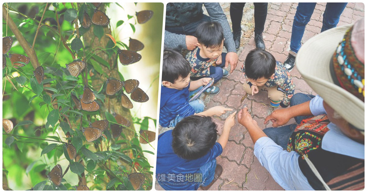 茂林紫蝶幽谷一日遊｜賞世界級百萬蝶景，再去多納體驗原住民文化！