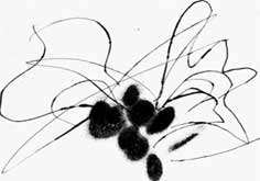 Nuevos Usos De Los Plasticos En El Arte Del Grabado Plastico