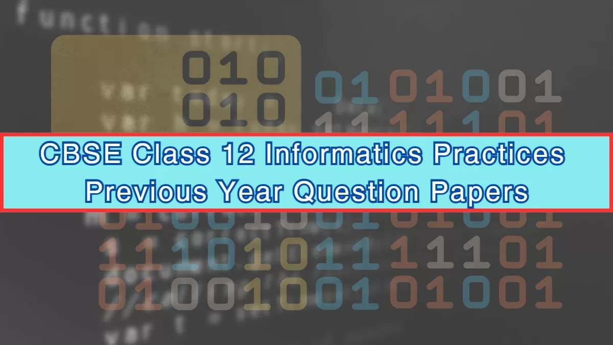 CBSE Informatics Practices Previous Year Question Paper Class 12 with Solution PDF Download