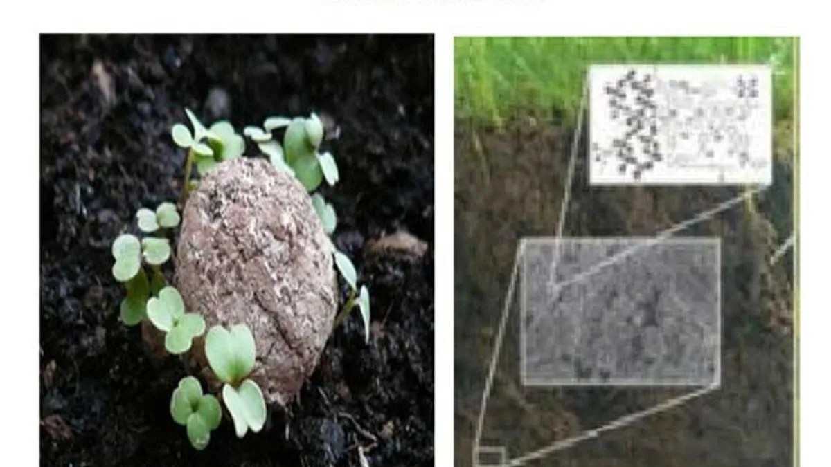 Soil Colloids Types, Properties and Importance