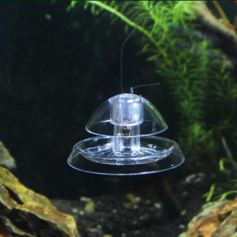 Buy Clear Snail Tank Plants Planarian Trap Aquarium Fish Leech Catch