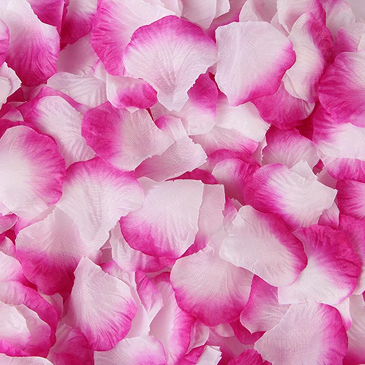 Buy 500pcs Artificial Silk Flower Petals for Wedding Party Events