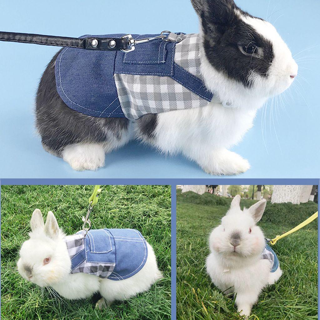 Buy with Harness Leash Small Pet Wearing Rabbit Jacket Pet Supplies