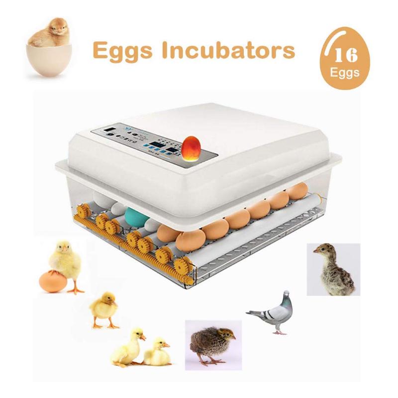 Buy HTOCINQ 16Pcs Single/Dual Power Supply Eggs Hatcher Digital Incubator Eggs Automatic