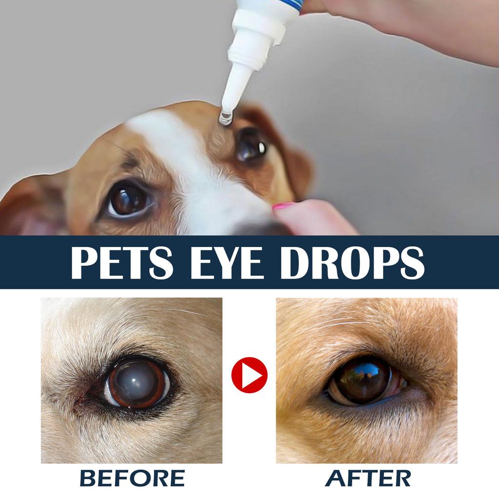 Satın alın 10ml Cataract Drops For Pets Advanced Lanosterol Solution For Therapeutic Eye