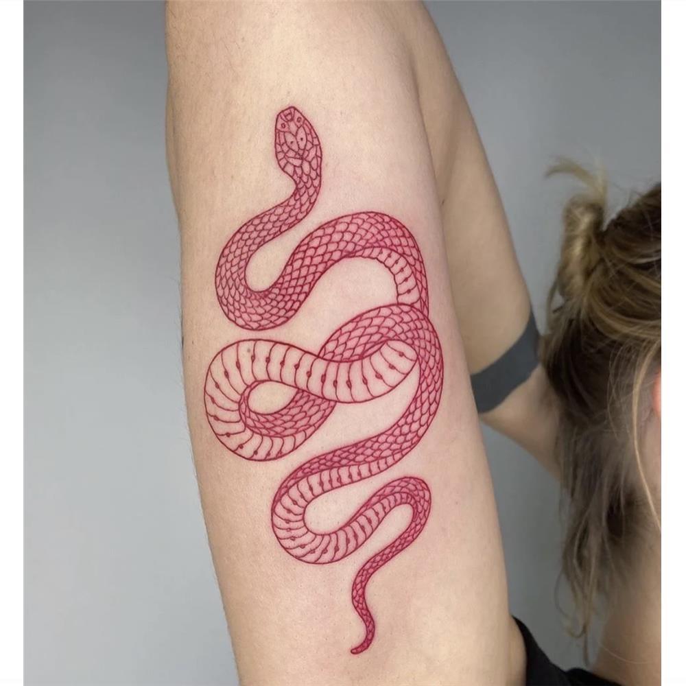 Adesivi Per Tatuaggi Temporanei Impermeabili Di Serpente Rosso Di Grandi Dimensioni Per Donne Uomini Body Art Decalcomanie In Vita Falso Tatto Acquista In Modo Economico — Spedizione Gratuita, Recensioni Reali Con Foto —