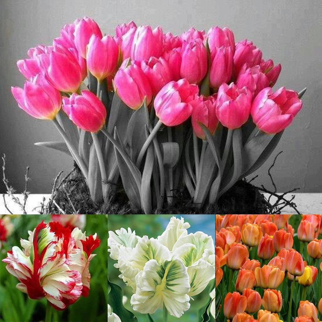 Buy Artificial Flowers Fragrant Bloom Adorable Flowers Flowers Bouquet