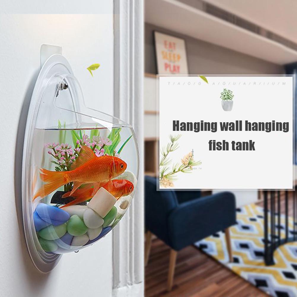 Buy Fish Bowl Acrylic Wall Hanging Fish Tank Aquarium Vase Plant