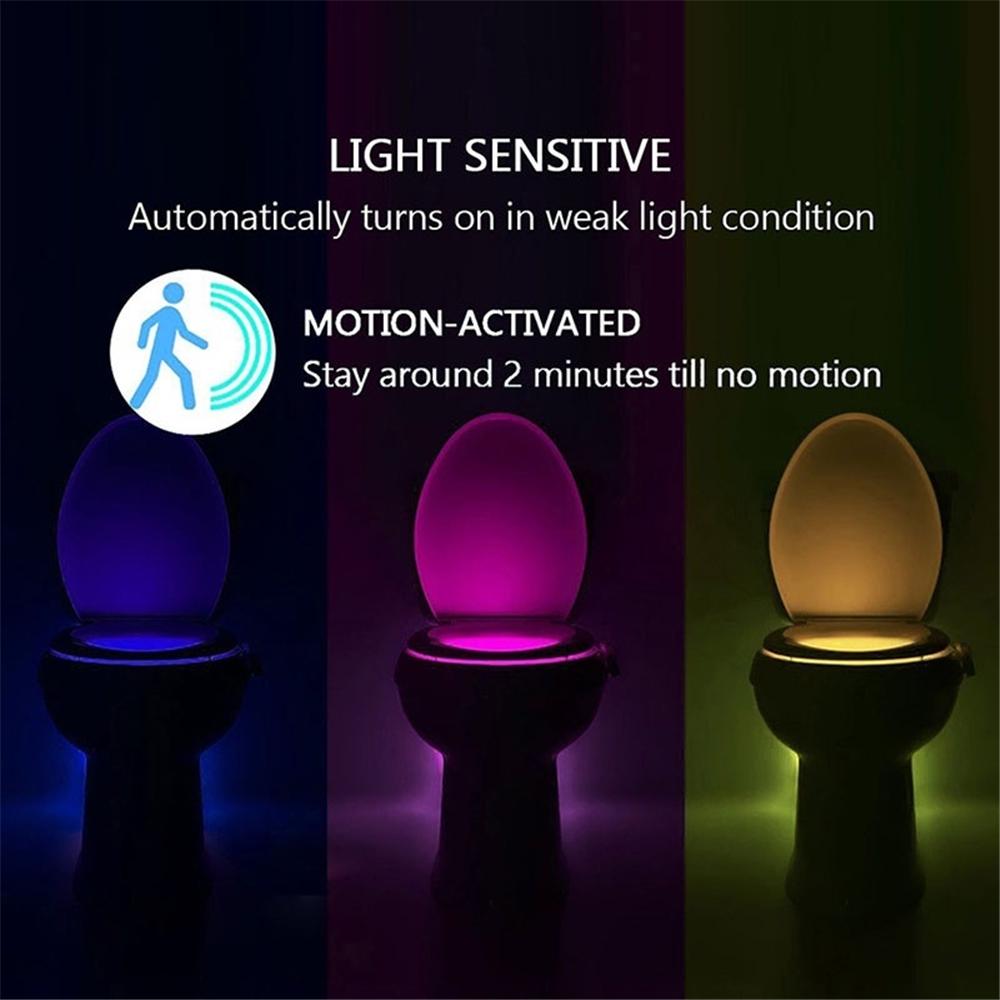 Buy Toilet night light human motion sensor automatic seat led light