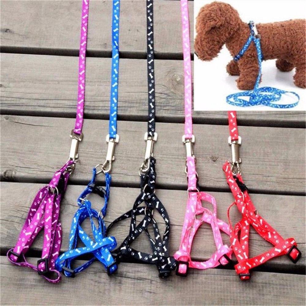 Buy Adjustable Multicolor Printing Dogs Lead Belt Puppy Lead Leash