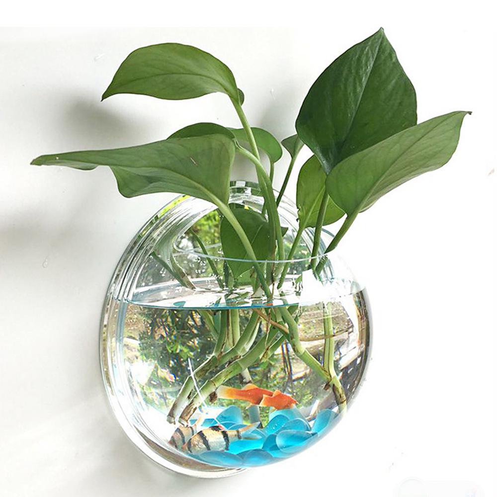 Buy Hanging Plant Flower Transparent Glass Vase Terrarium Wall Aquarium
