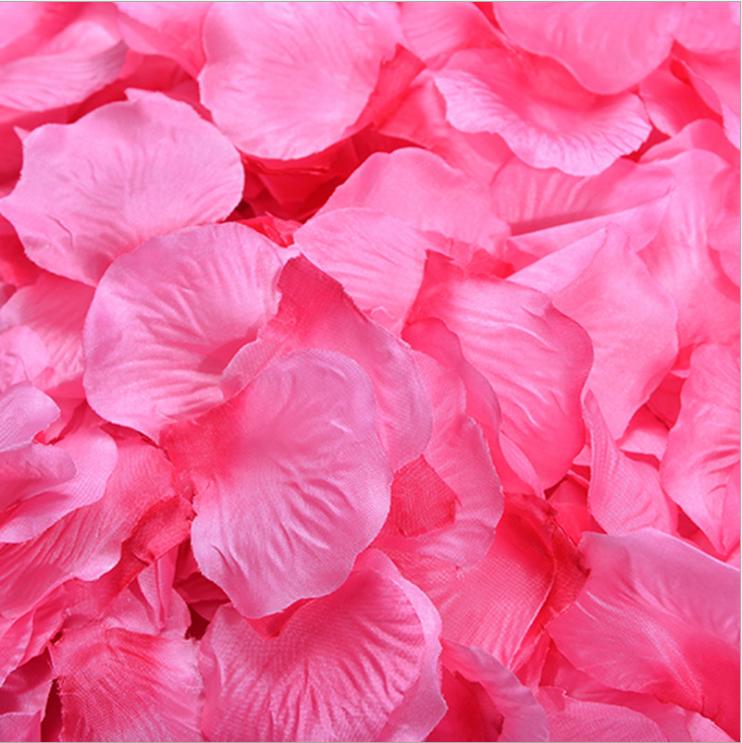 Artificial Plants & Flowers NUOBESTY 300pcs Silk Rose Petals Fake