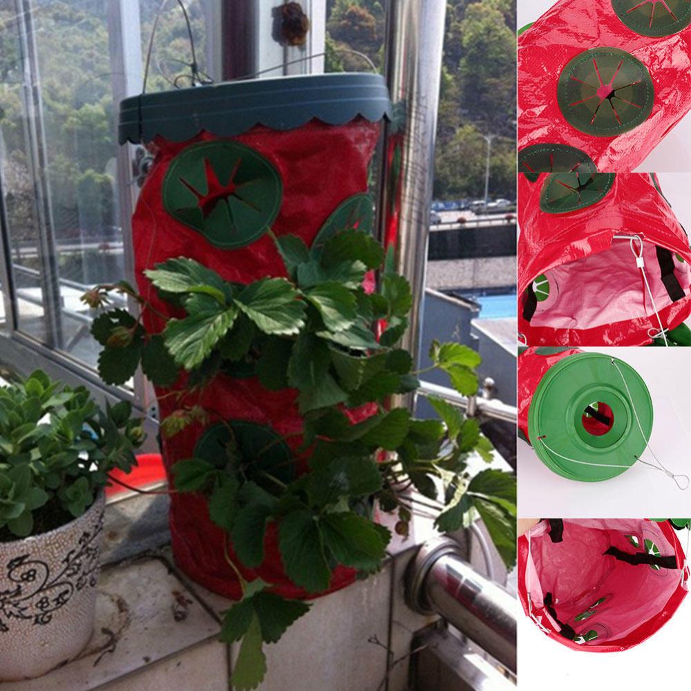 Buy Strawberry Upside Down Hanging Planter System Outdoor 6 Holes