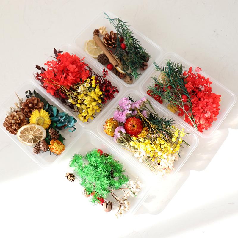 Buy Real Dry Flowers Diy Candle Making Jewelry Decoration Dry Embossing