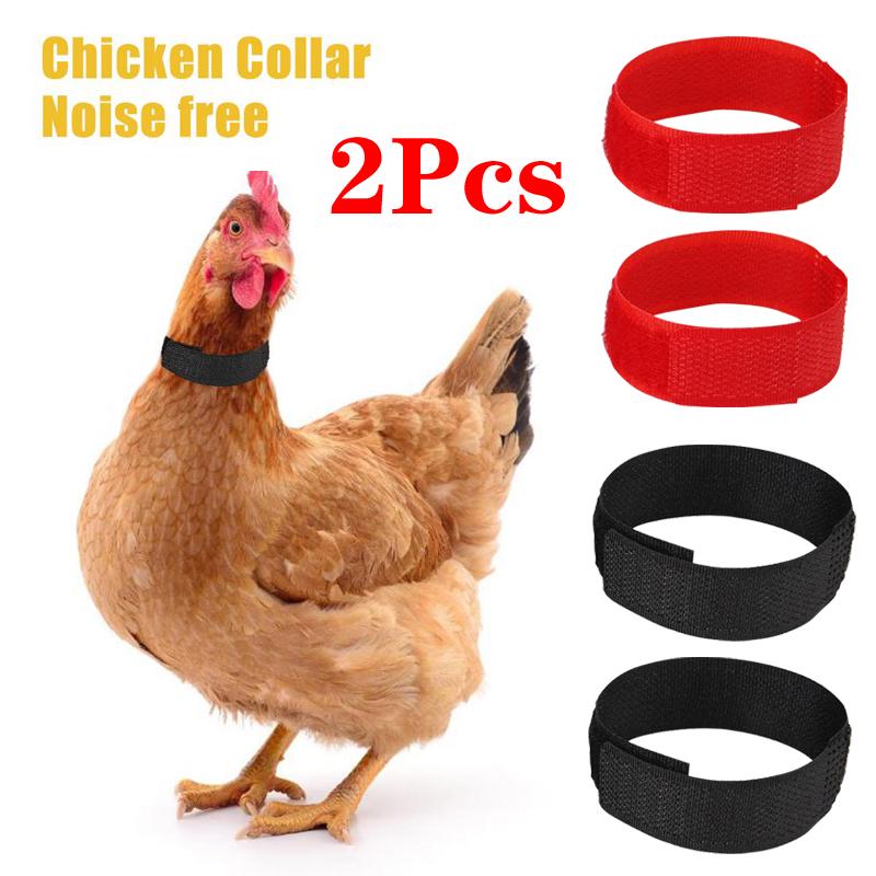 Collars, Harnesses & Leashes Black Normal Style 10pcs Chicken Collar