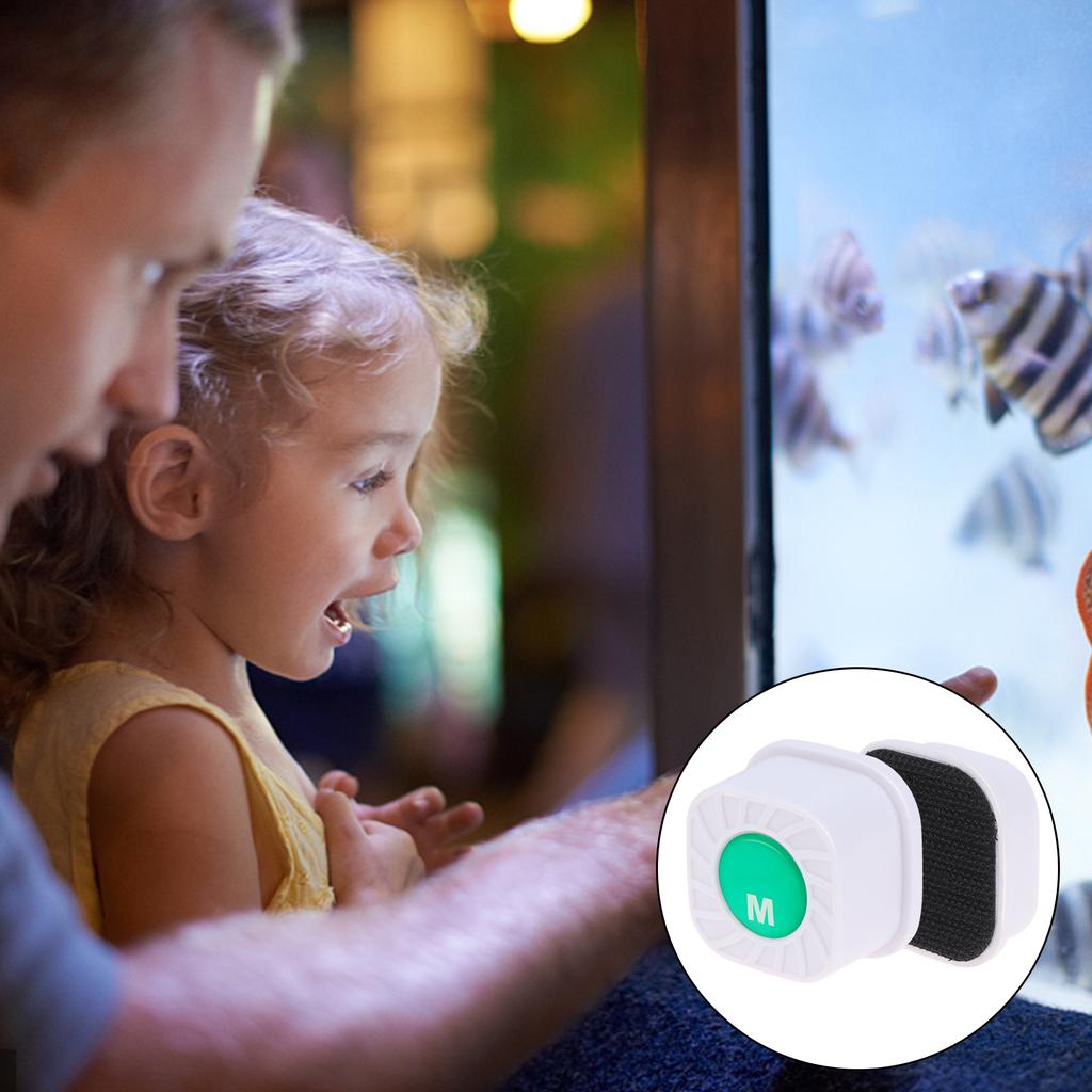 Comprar 2 Pieces Mini Aquarium Glass Cleaner Super Algae