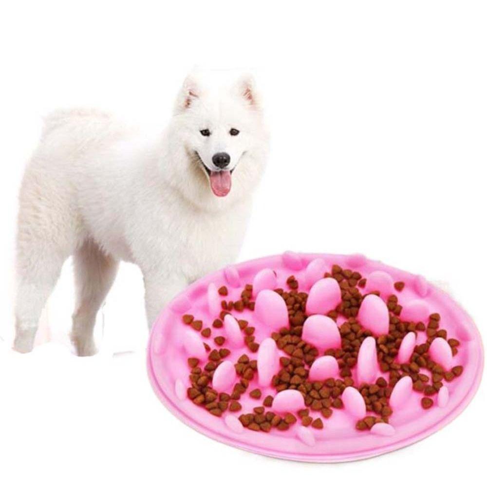 Kaufe Puppy Food Container Dog Feeder Utensils Pet Licking Pad Feeding