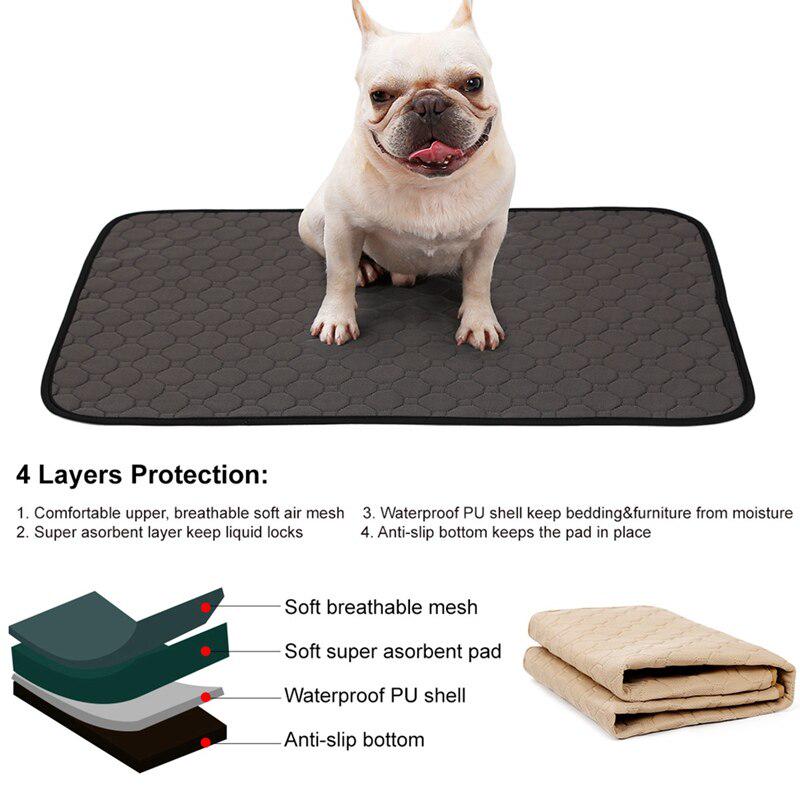 Buy Dog Urine Absorbent Training Pad Waterproof Washable Reusable