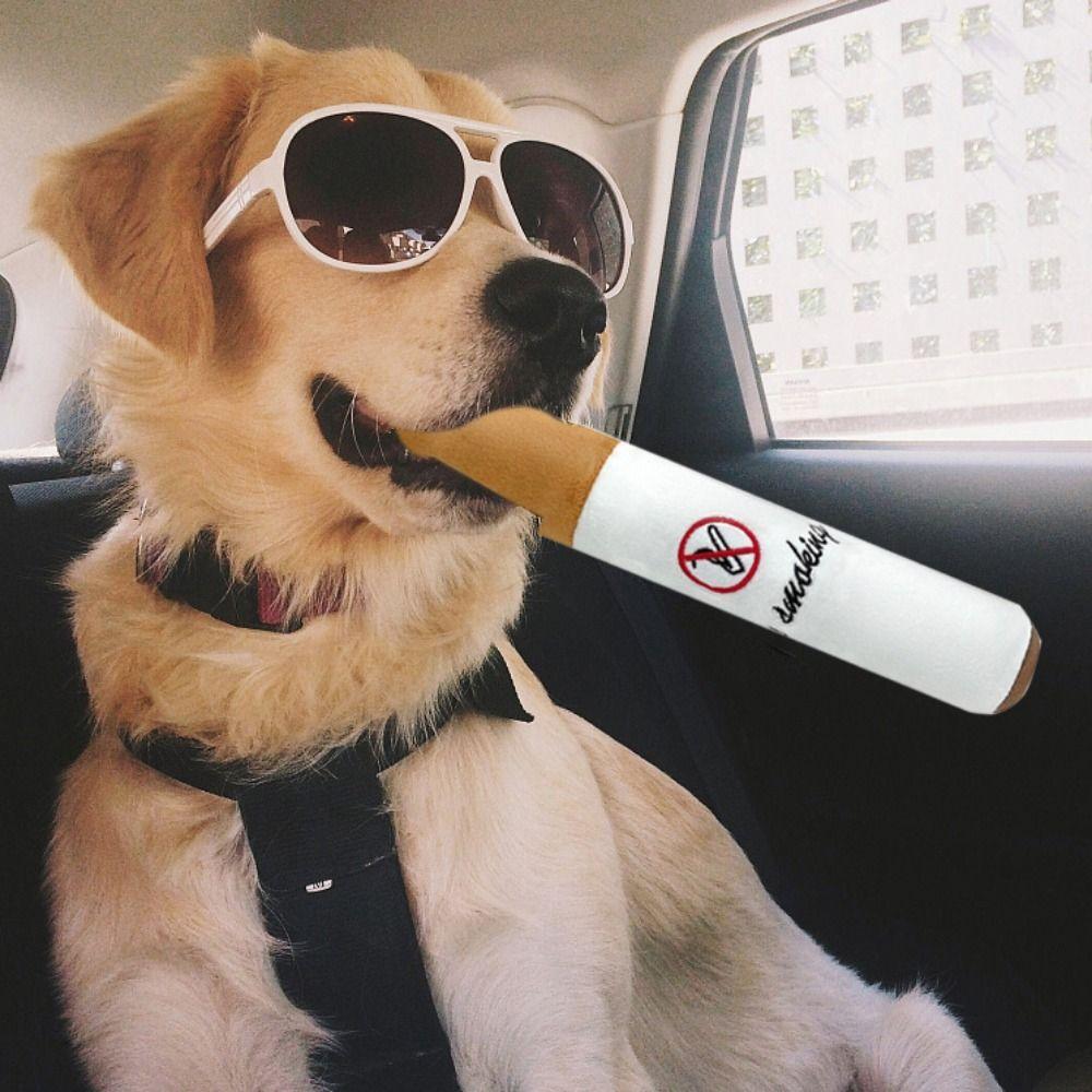 Cheap Interactive Dog Cigar Plush Toy Simulation Dog Big Smoke Toy Pet Supplies Cleaning Teeth