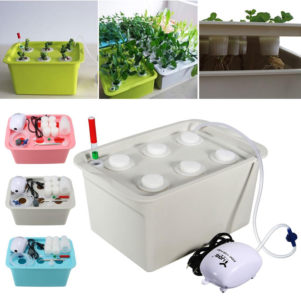 Planta cultivo hidropónico sistema Grow kit burbuja