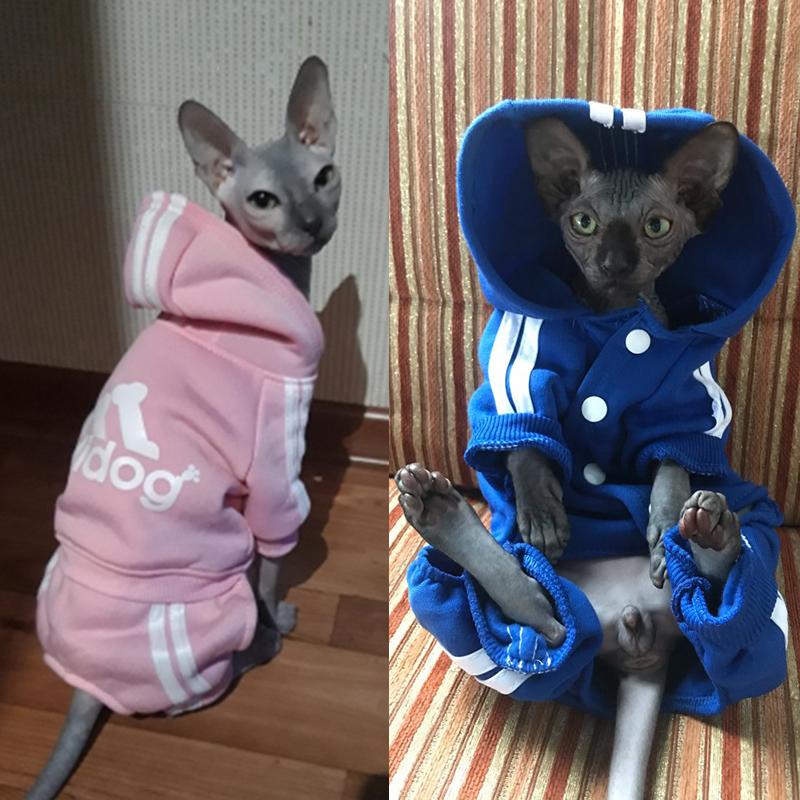 Cheap Cute Cat Sweater Hoodie Winter Warm Pet Clothes for Cats Sphynx