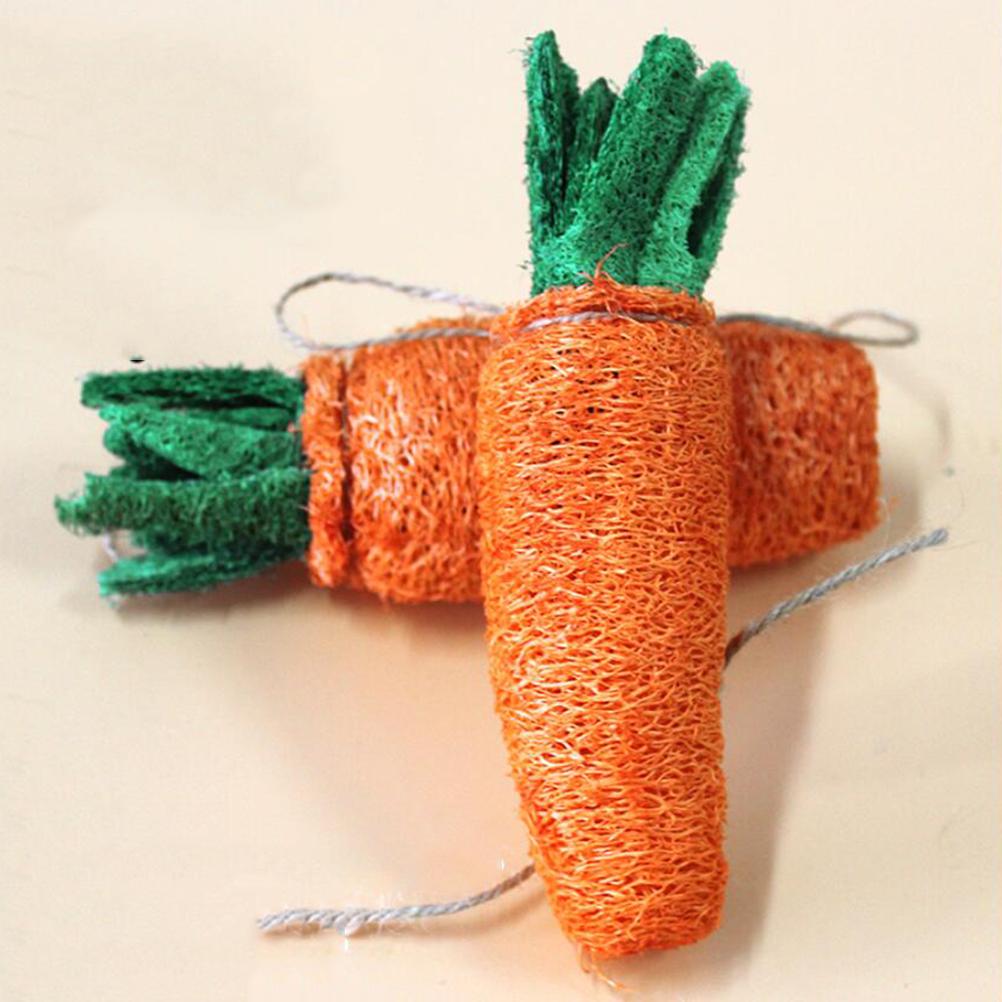 Buy 1 Pc Molar Toy Practical Safe Edible Loofah Carrot Shaped Pet