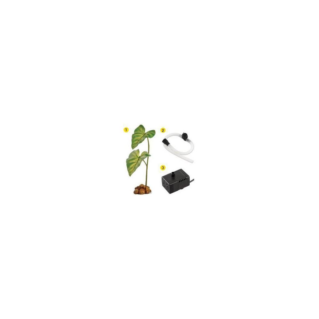 Buy Water Dripper Plant Large Exo Terra at affordable prices — free