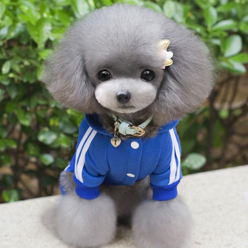 Buy XSXXL Pet Dog Clothes Warm Dog Jumpsuit Cat Puppy Pajamas Clothing Thicken Pet Hoodie Coat