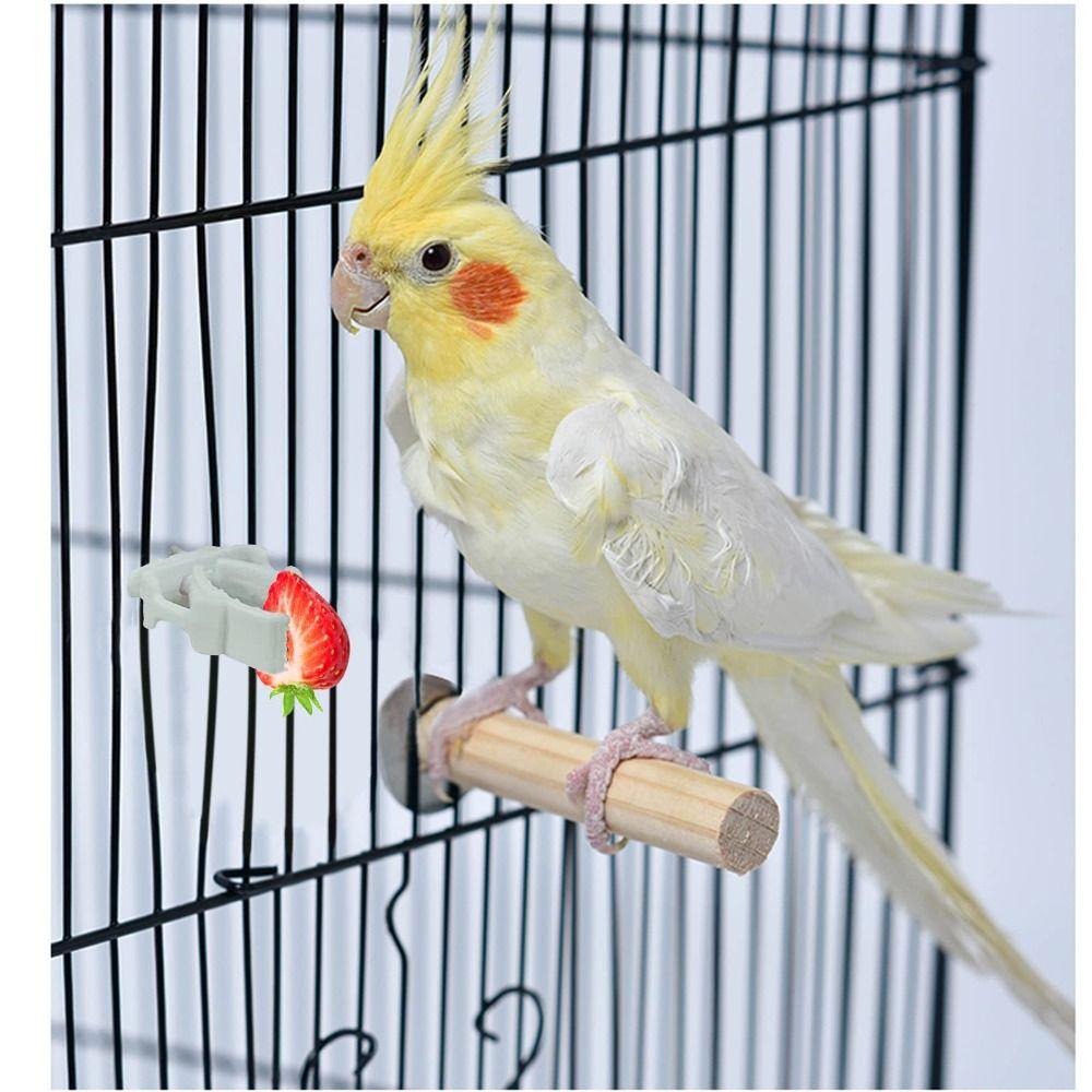 Купить Animals Bird Cage Accessories Parrot Food Holder Bird Cage Clips