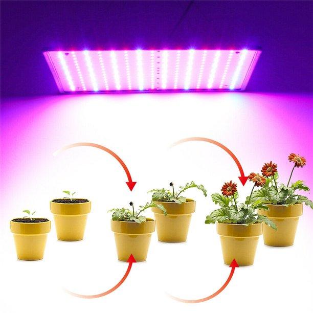 Cheap LED Grow Light 1000W Covers with 1.5 Square Meter IR UV Lights AC 85V 265V For Indoor Grow
