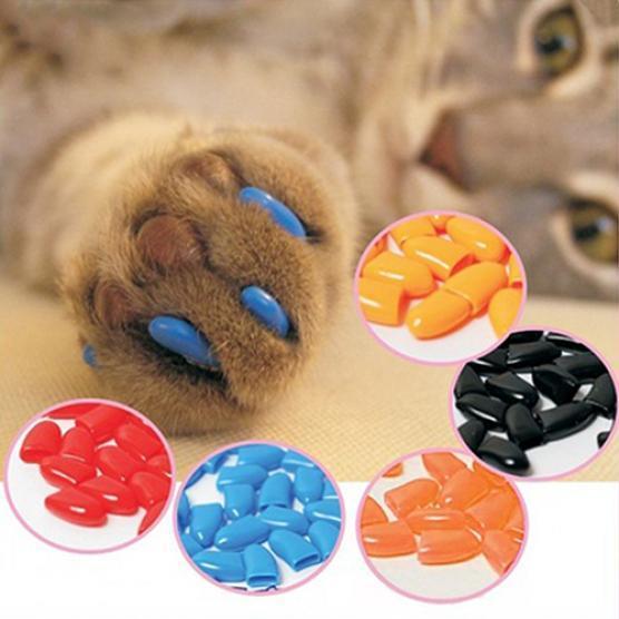 Buy Pets Public Accessories 20Pcs Pet Dog Cat Paw Claw AntiScratch