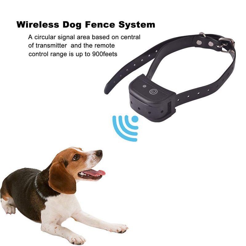 Dog Shock Collar Fence Walmart atelieryuwa.ciao.jp