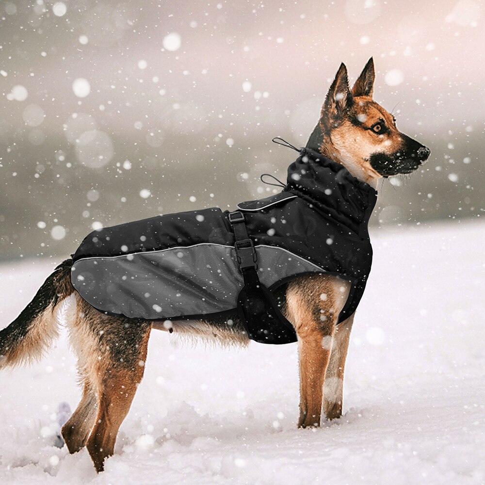 Buy Winter Pet Jacket Warm Big Dog Coat Reflective Dog Clothes