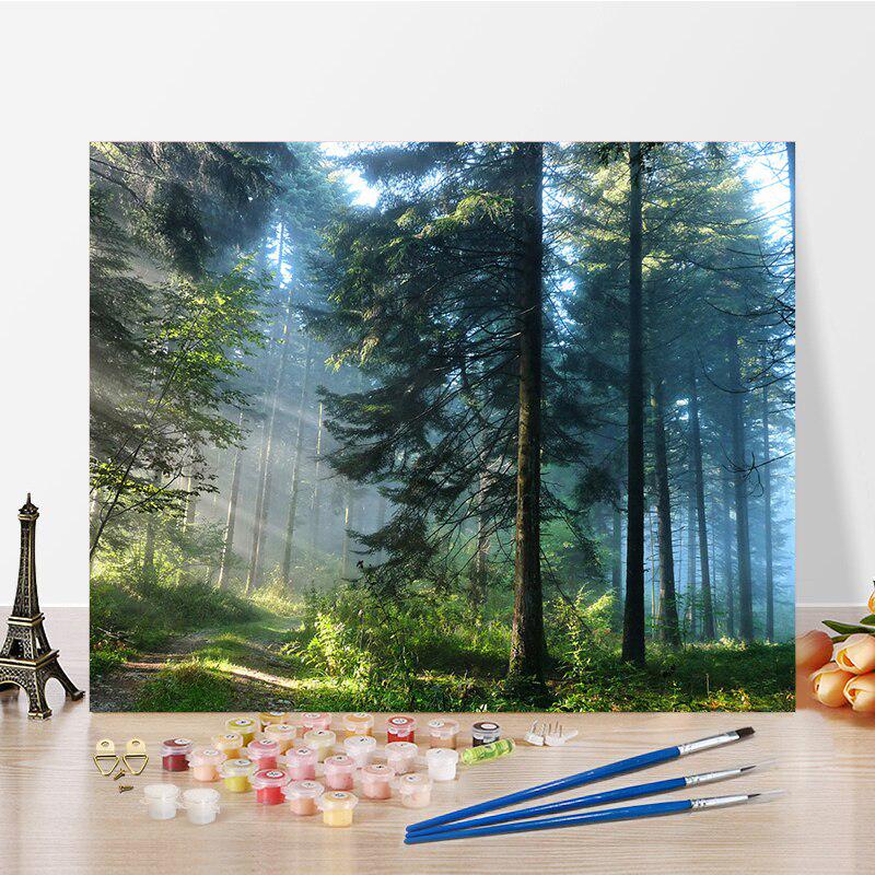 Cheap DIY Paint By Numbers Oil Painting Kit Canvas DIY Oil Painting By