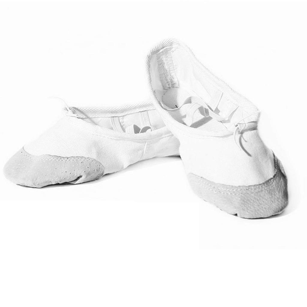 Buy Professional Hard Sole Ballet Dance Shoes Ballet Shoes for Kids Adult at affordable prices