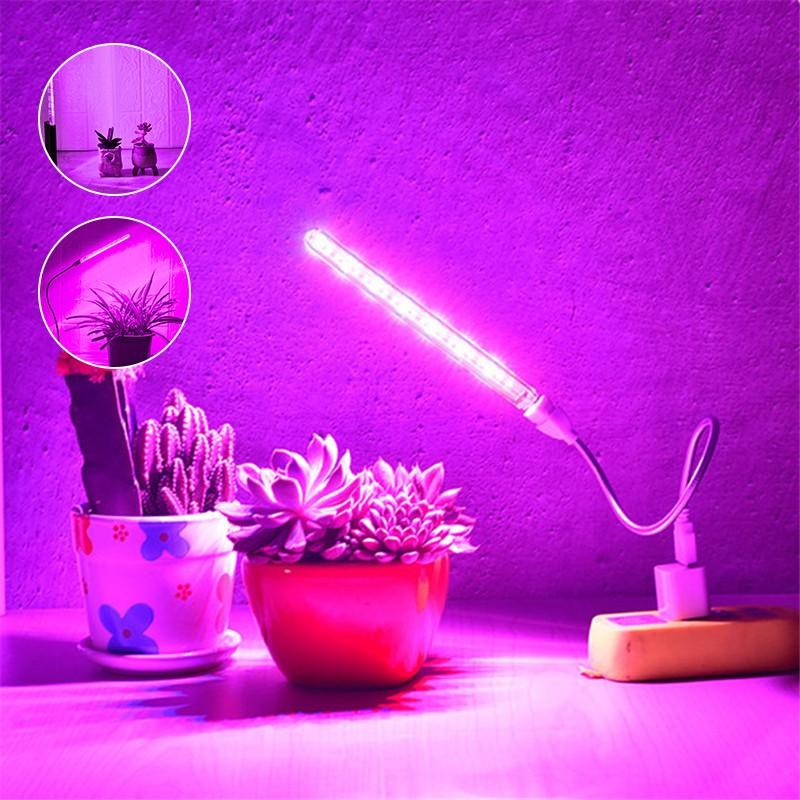 Cheap Plant Grow Light USB Portable LED Flower Grow Lamp DC5V Full