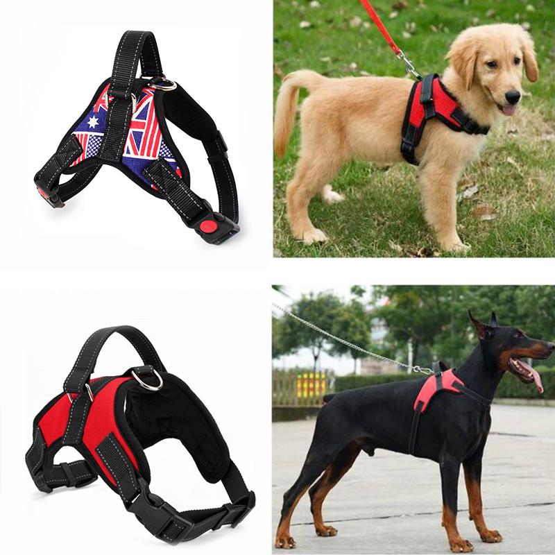 Buy Fashionable Big Large Medium Harness Collar Small Dog Dog Pet