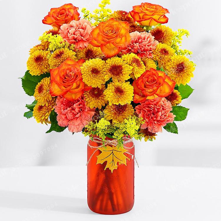 Buy 20pcs Carnation Perennial High Survival Rate Home Garden Bonsai