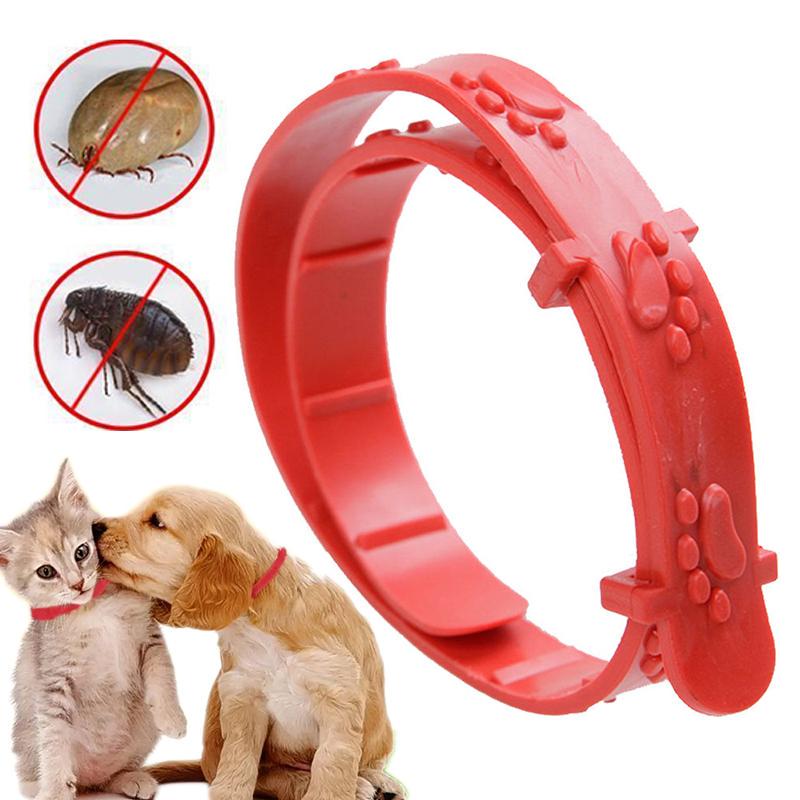 Buy 1 PC Natural Flea Removal Pet Dog Cat Collar On Effective