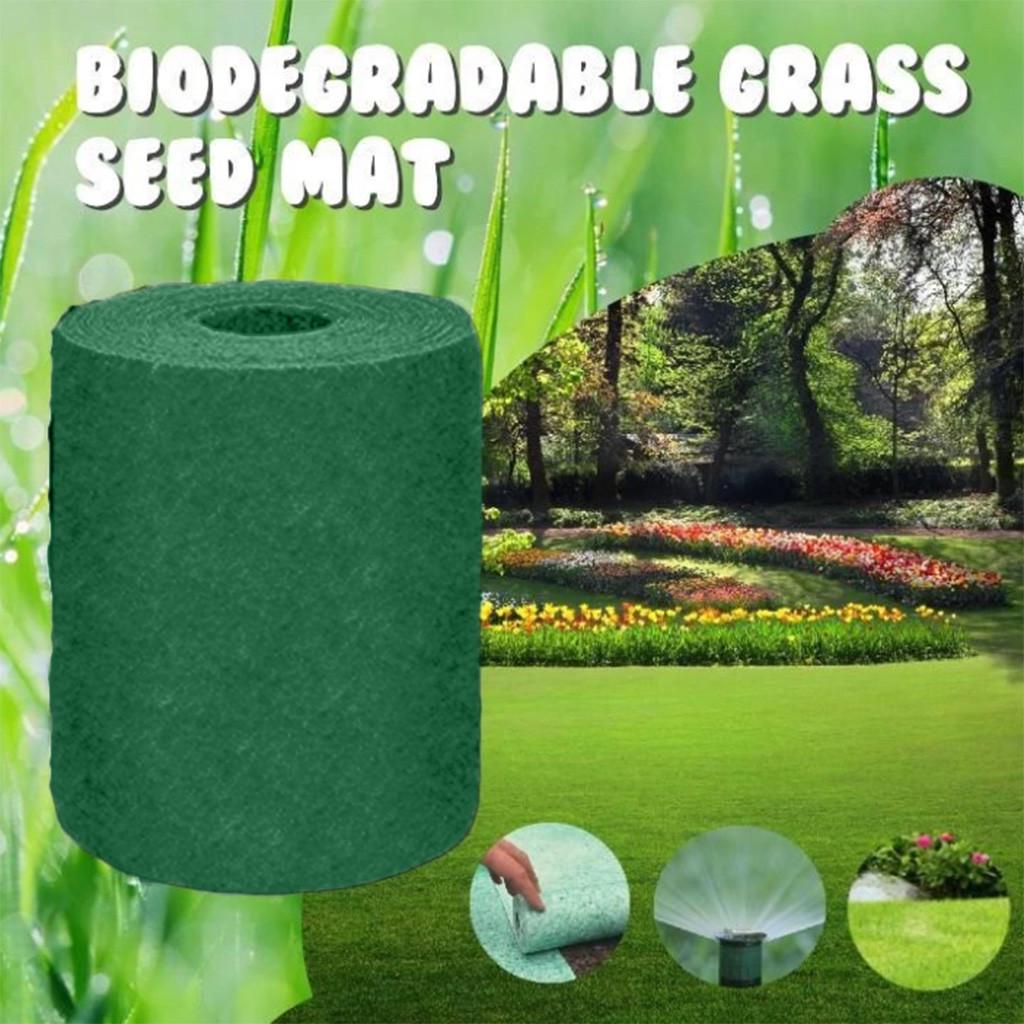 Buy 20x1000cm Grass Seed Mat Fertilizer Garden Picnic Gardening Lawn
