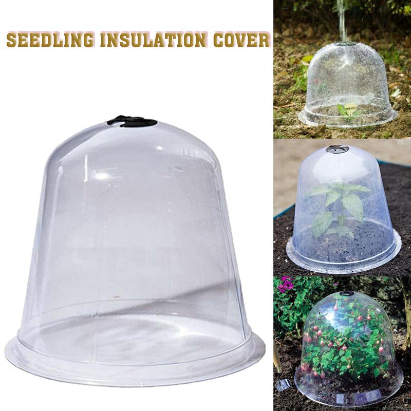 Glass Bell Dome Plant Display Cloche Greenhouse Glass Designs